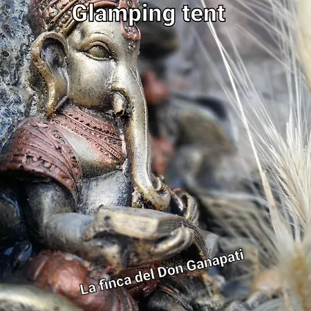 Luxury tent La Del Don Ganapati