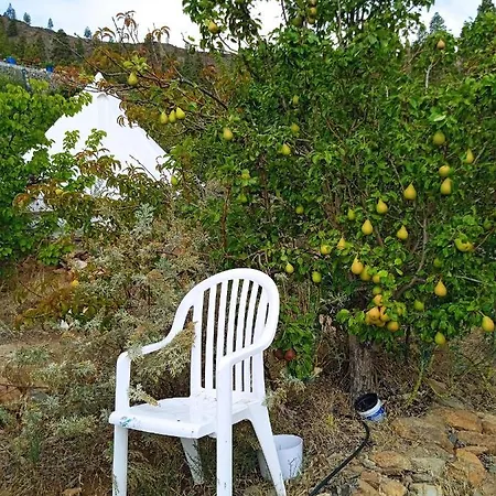 La Del Don Ganapati San Bartolome de Tirajana (Gran Canaria)